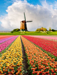 Tips For Driving In The Netherlands Image